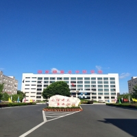 中等技术学院